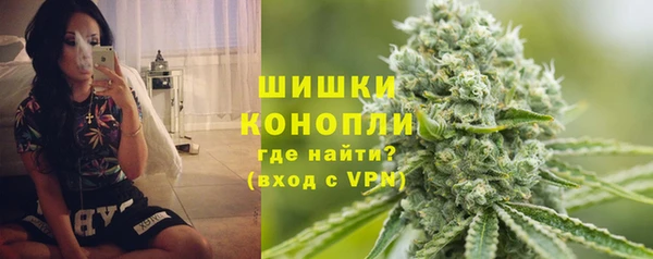 spice Аркадак