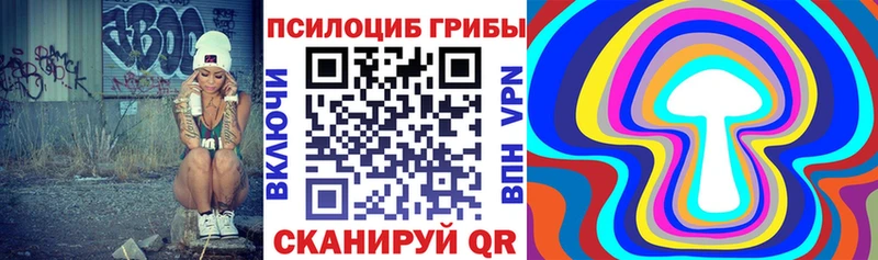 закладки  Куйбышев  Псилоцибиновые грибы Cubensis 
